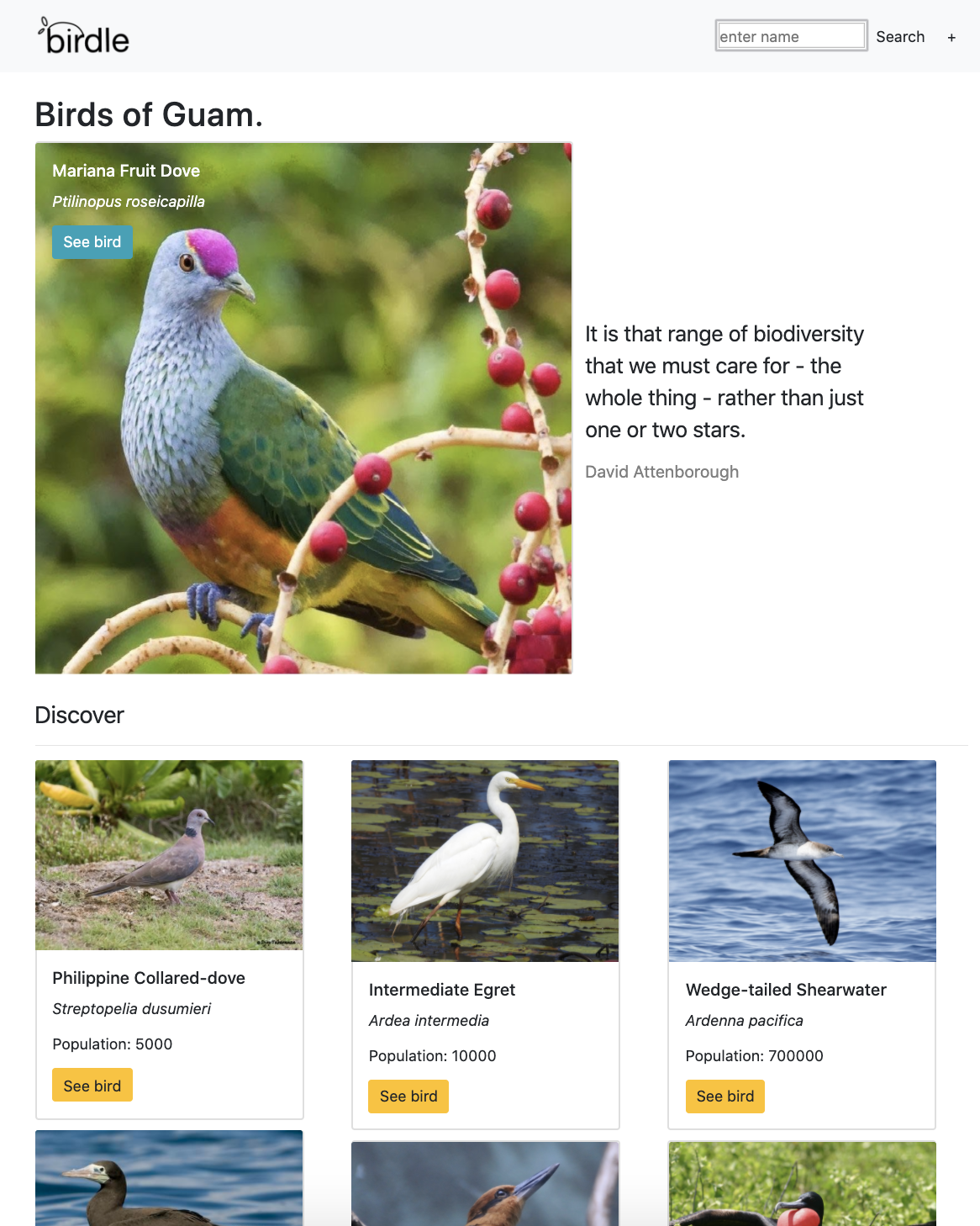 birdle home page